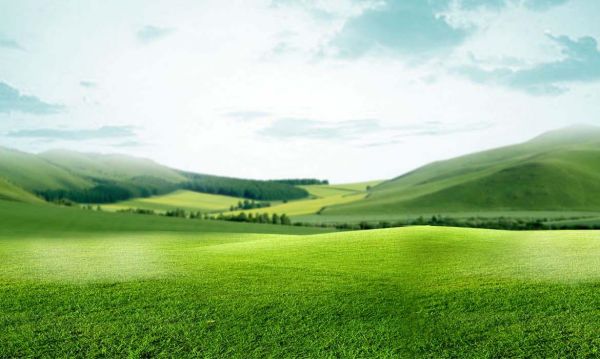 环保材料有哪些_绿色环保材料有哪些